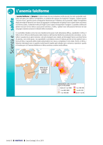 L`anemia falciforme