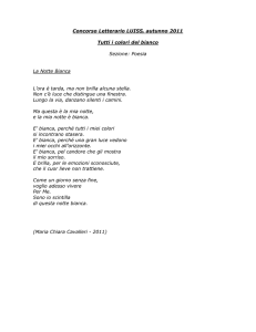 La notte bianca, di Maria Chiara Cavalleri