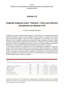 Ecografia integrata cuore polmone nel paziente con dispnea
