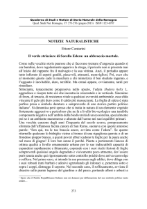 NOTIZIE NATURALISTICHE Ettore Contarini Il verde strisciare di