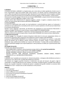 i combustibili - 2