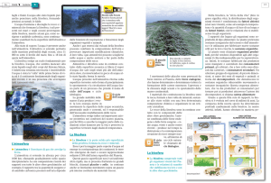 La litosfera L`atmosfera La biosfera