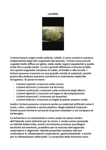 2 AS I licheni - Via Asmara 28