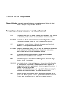 Curriculum breve di Luigi Ferrucci. Principali esperienze