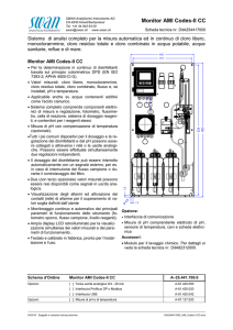 Data sheet Monitor AMI Codes-CC