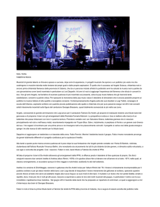 Italia. Sicilia. FABER IN ROCK Musicisti di grande talento si