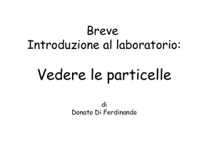 Vedere le particelle elementari