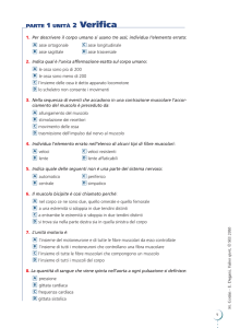 Unità 2 - SEI Editrice