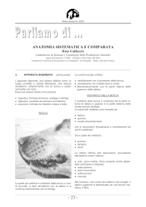 ANATOMIA SISTEMATICA E COMPARATA