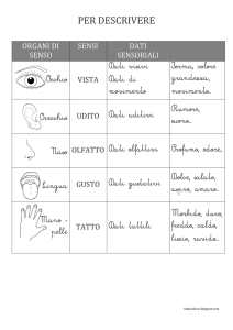 Organi di Senso: Schema Didattico per Bambini