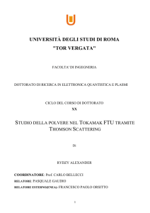 TESI DI RYDZY ALEXANDER = STUDIO DELLA POLVERE NEL