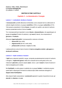 Capitolo A3 - Le biomolecole e l`energia