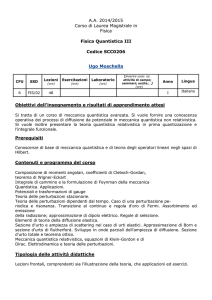 A.A. 2014/2015 Corso di Laurea Magistrale in Fisica Fisica