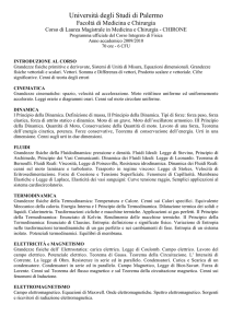 Università degli Studi di Palermo
