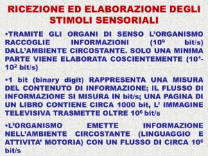 Presentazione di PowerPoint