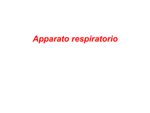 Diapositiva 1