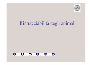 Rintracciabilità degli animali