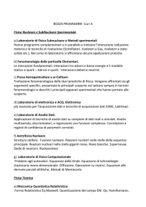 PROGRAMMI-Curr -A