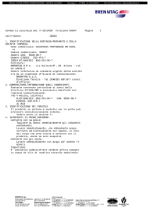 Scheda di sicurezza del 11/05/2006 revisione 00004 Pagina 2