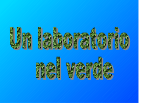 guarda la presentazione