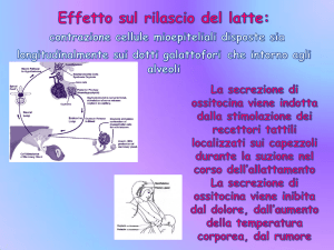Diapositiva 1
