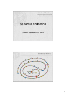 Col 34) Endocrino 2