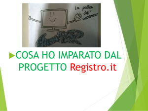 COSA HO IMPARATO DAL PROGETTO Registro.it
