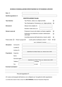 scheda SEGNALAZIONE paysandisia palme