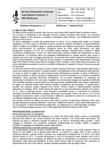 01.02.2010 Bollettino fitosanitario no. 04/2010 La Bolla del pesco