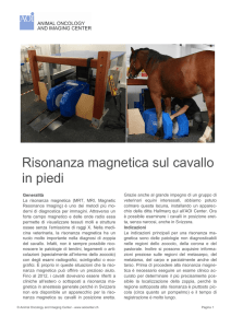 Risonanza magnetica