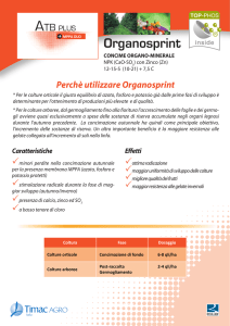 Organosprint - Timac Agro Italia SpA
