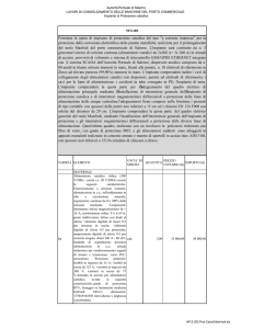 NP_E_002 Prot_Catod_Manfredi - Autorità Portuale di Salerno