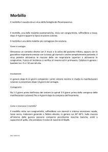 Morbillo - docvadis
