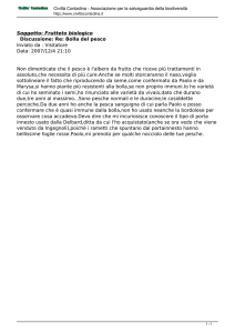 Bolla del pesco - Civiltà Contadina