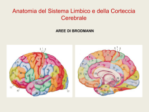 Diapositiva 1