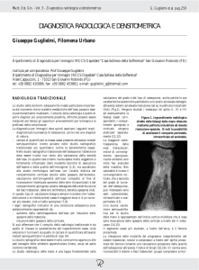 diagnostica radiologica e densitometrica