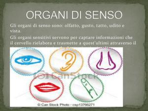 Gli$organi$di$senso$sono:$olfatto,$gusto,$tatto,$udito$e$ vista