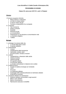 II D sc. applicate - Liceo Galileo Galilei