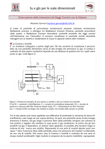 mostra 5