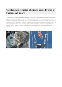 Assistenza meccanica al circolo come bridge al trapianto di cuore