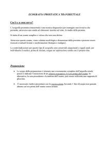 Ecografia Prostatica Transrettale