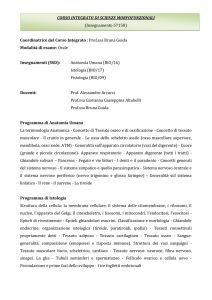 CORSO INTEGRATO DI SCIENZE MORFOFUNZIONALI