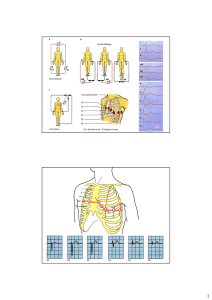 Col 06) ECG