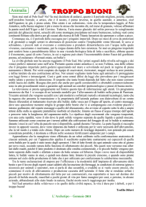 Animalia - L`Archetipo