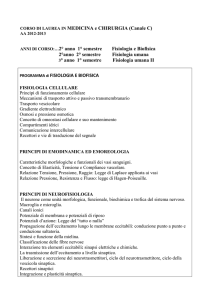 Canale C - Medicina Unict