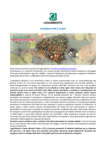 in marcia per il clima