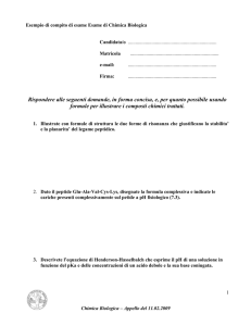 Rispondere alle seguenti domande, in forma concisa, e, per quanto