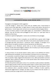 TESTO DESCRITTIVO CASTAGNETO (di Colombo Benedetta – 1E)