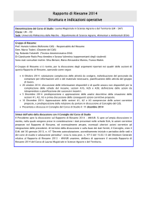 Visualizza il PDF