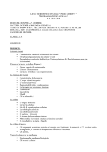programmazione annuale as 2015- 2016 docente: donatella cortese